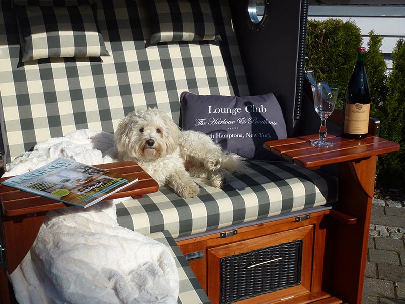 Lounge Club Strandkorb mit Kissen und Wein